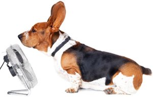 Air Conditioning Breakdowns