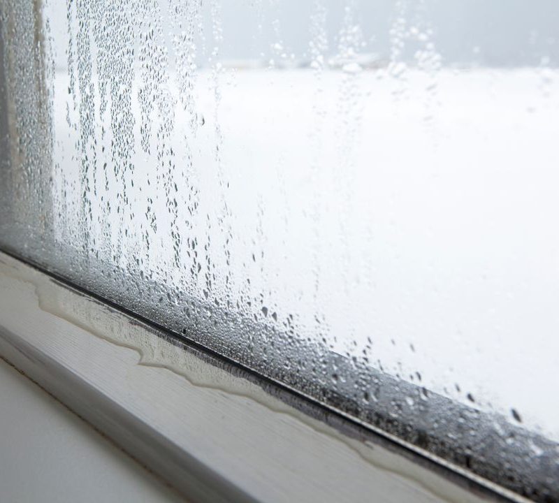 How To Combat Humidity In Your Home