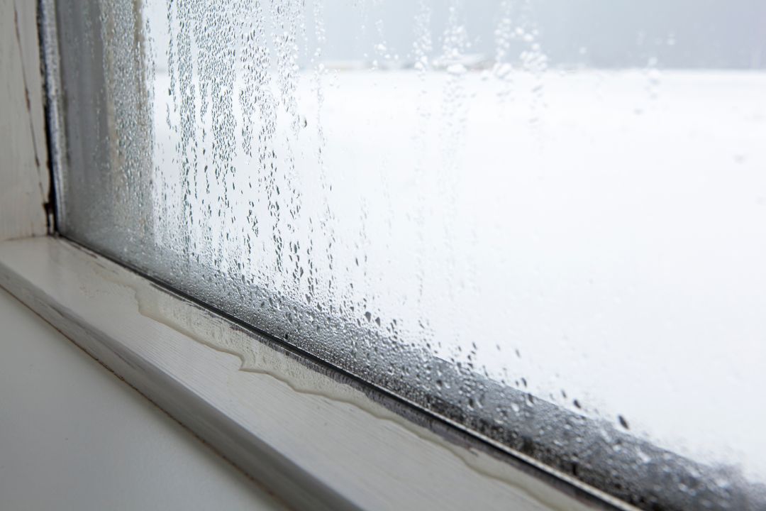 Can’t Stand Humidity In Your Home? Here’s What To Do